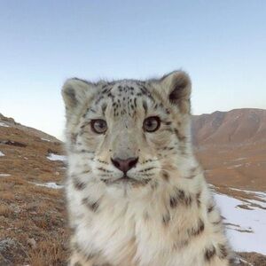 Meet your Posher, Me